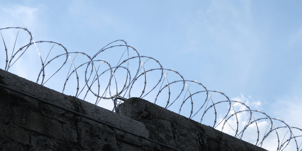 Libertad entre cuatro paredes
