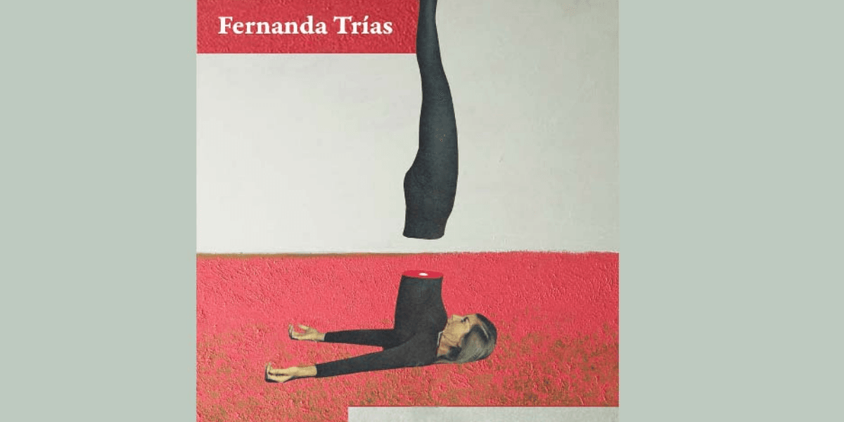 Un libro irregular